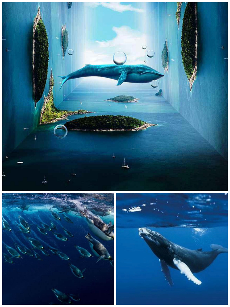 海洋與生命